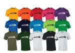 T-Shirt Evolution Aikido verschiedene Farben